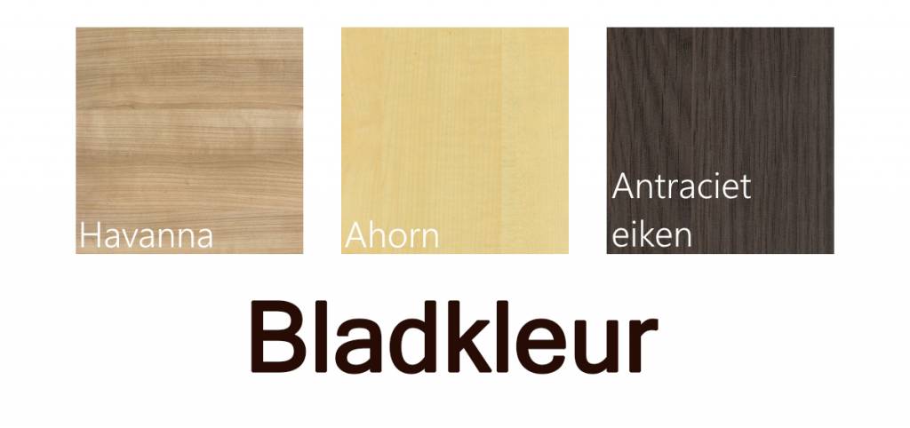 Draaideurkast 200x90x42