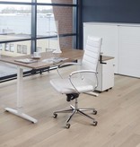 Slinger verstelbaar Zit/sta bureau T-Poot