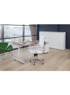 Slinger verstelbaar Zit/sta bureau T-Poot