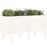 VidaXL Plantenbak verhoogd 121x50x57 cm massief grenenhout wit