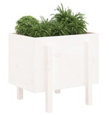 VidaXL Plantenbak 62x50x57 cm massief grenenhout wit