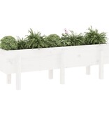 VidaXL Plantenbak verhoogd 121x30x38 cm massief grenenhout wit