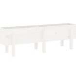 VidaXL Plantenbak verhoogd 121x30x38 cm massief grenenhout wit