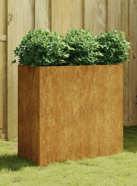 vidaXL Plantenbak 80x40x80 cm cortenstaal