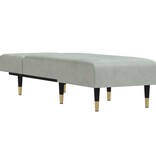 vidaXL Chaise longue fluweel lichtgrijs