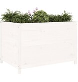 VidaXL Plantenbak verhoogd 119,5x82,5x78 cm massief grenenhout wit