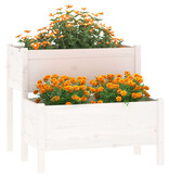 Plantenbak 84,5x84x75 cm massief grenenhout wit