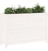 VidaXL Plantenbak verhoogd 119,5x40x78 cm massief grenenhout wit