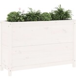 vidaXL Plantenbak verhoogd 119,5x40x78 cm massief grenenhout wit