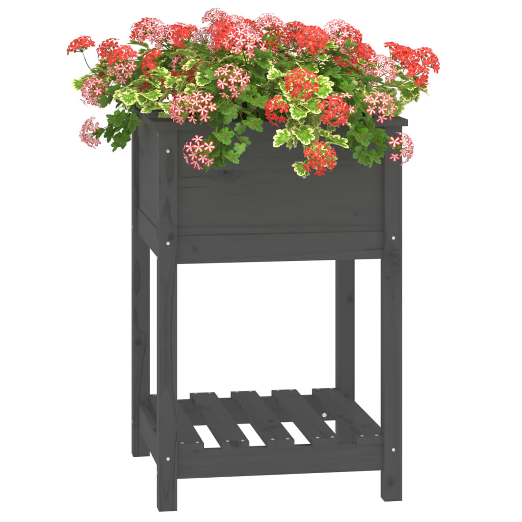 VidaXL Plantenbak met schap 54x54x81 cm massief grenenhout grijs