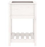 VidaXL Plantenbak met schap 54x54x81 cm massief grenenhout wit