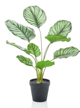 vidaXL Kunstplant in pot calathea orbifolia 45 cm