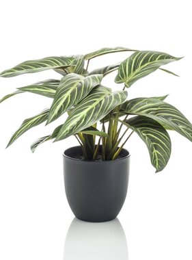 vidaXL Kunstplant in pot Zebrina calathea 38 cm
