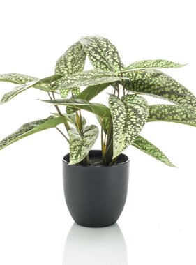 vidaXL Kunstplant in pot Dots calathea 38 cm