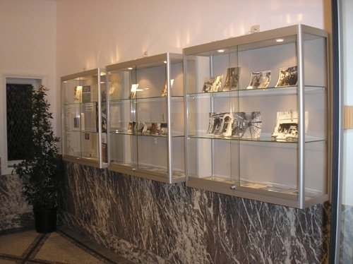 Wandvitrine met gehard glas