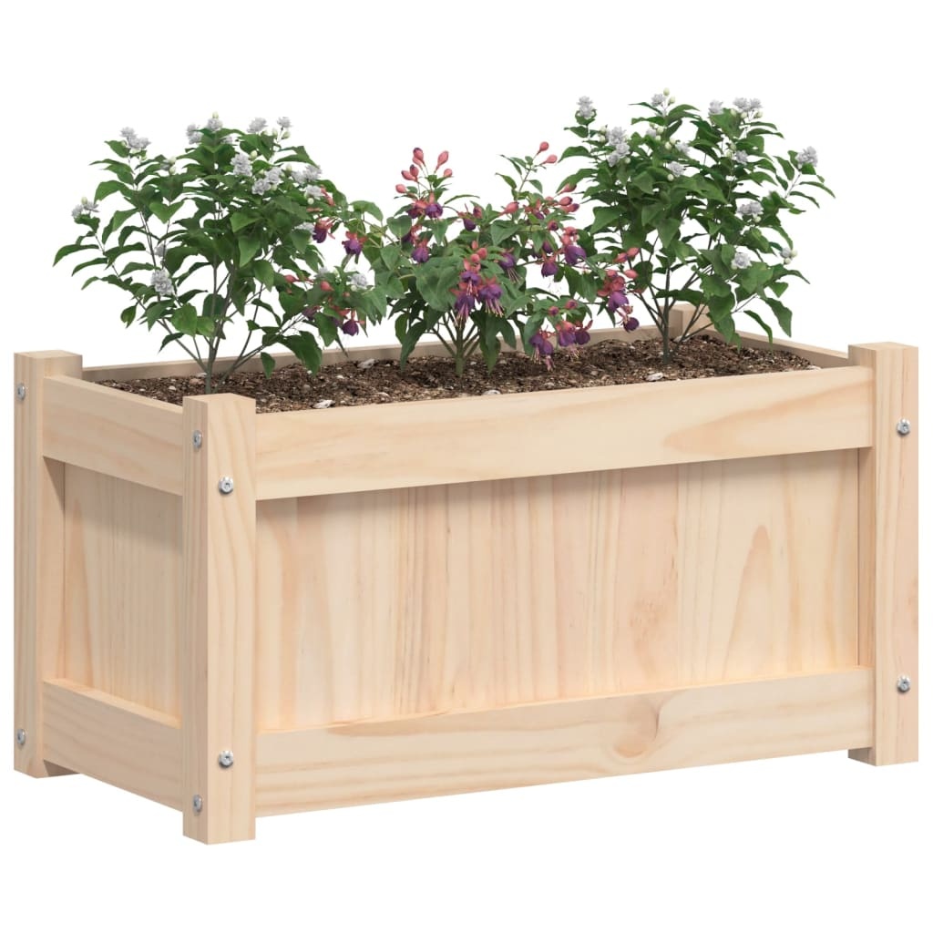 VidaXL Plantenbak 60x31x31 cm massief grenenhout