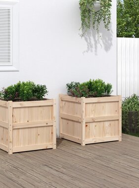 VidaXL Plantenbakken 2 st cm massief grenenhout