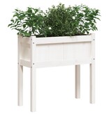 Plantenbak met poten 70x31x70 cm massief grenenhout wit