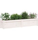 VidaXL Plantenbakken 2 st cm massief grenenhout wit