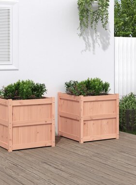 VidaXL Plantenbakken 2 st massief douglashout