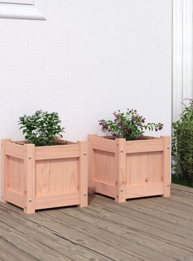 VidaXL Plantenbakken 2 st massief douglashout