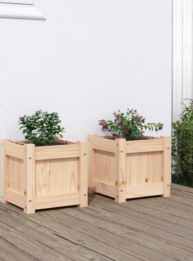 VidaXL Plantenbakken 2 st cm massief grenenhout