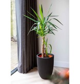 vidaXL Bloempot Groove elegant 34x46 cm zwart