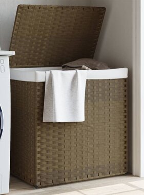 vidaXL Wasmand met 2 vakken 53x35x57 cm poly rattan