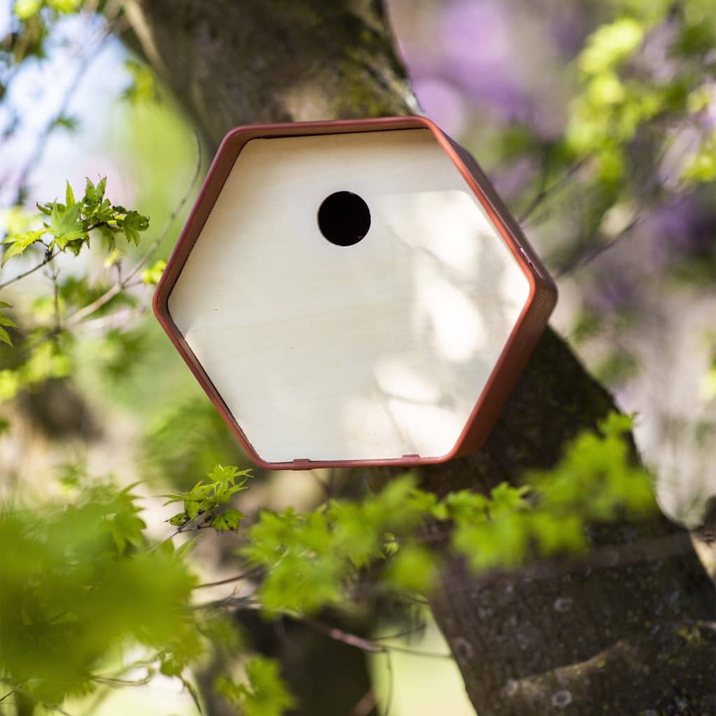 vidaXL Vogelhuisje Hive 1 rond gat 19x23x20 cm bruin