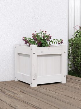 VidaXL Plantenbak 31x31x31 cm massief grenenhout wit