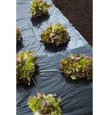 VidaXL Afdekfolie 3x4 m 150µ zwart