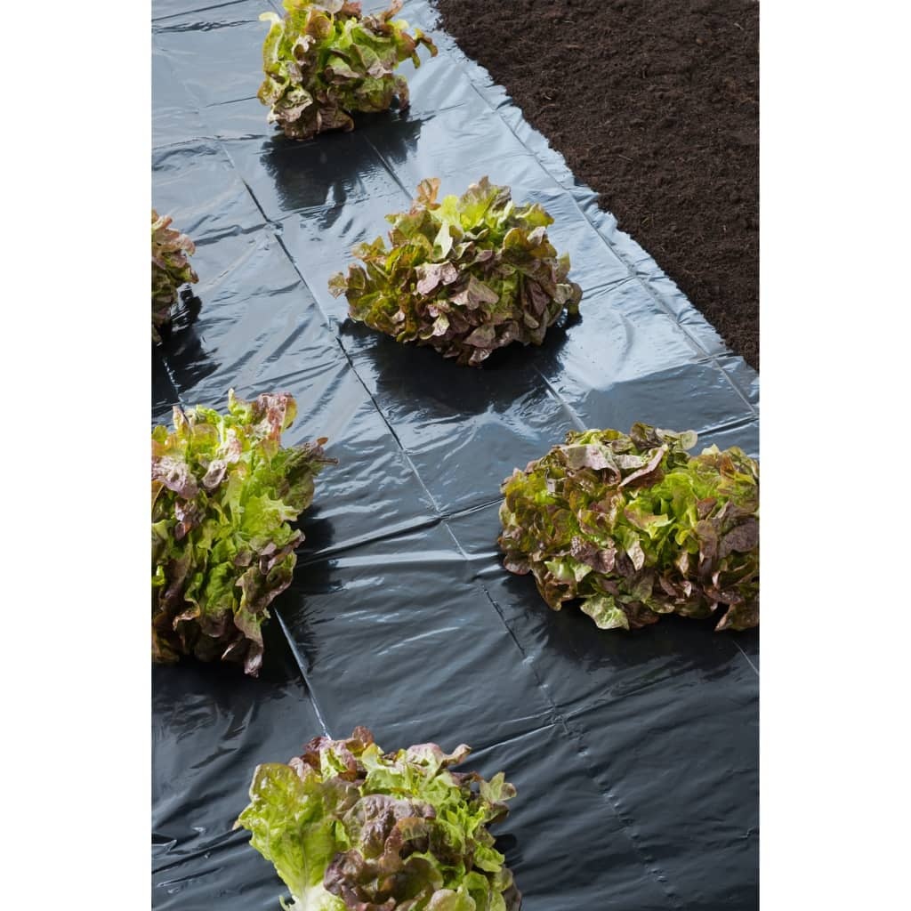 VidaXL Afdekfolie 3x4 m 150µ zwart