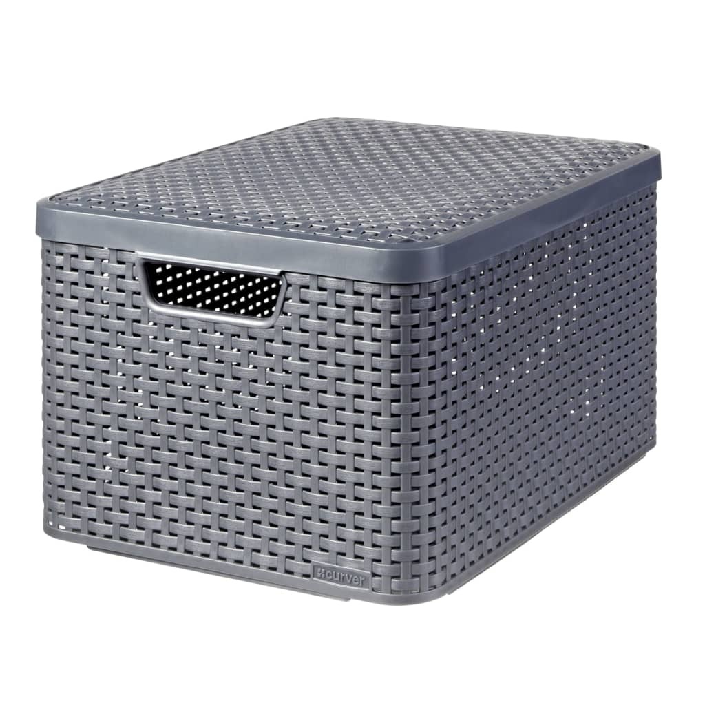 vidaXL Opbergbox Style met deksel L 30 L metallic zilverkleurig