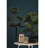 vidaXL Kunstplant mini bonsai ficus groen 47 cm 420006