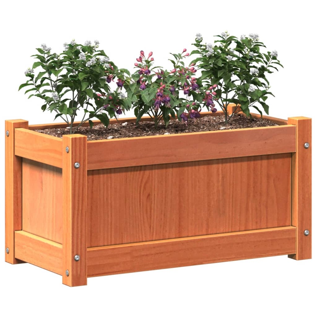 VidaXL Plantenbak 60x31x31 cm massief grenenhout wasbruin