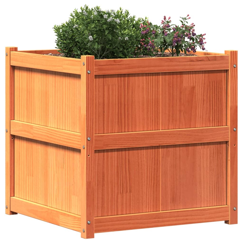 VidaXL Plantenbak 70x70x70 cm massief grenenhout wasbruin