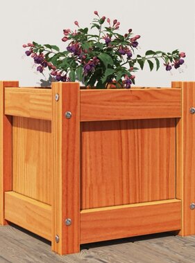 VidaXL Plantenbak 31x31x31 cm massief grenenhout wasbruin