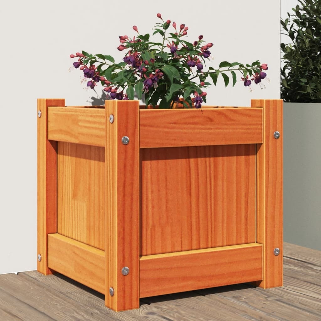 VidaXL Plantenbak 31x31x31 cm massief grenenhout wasbruin