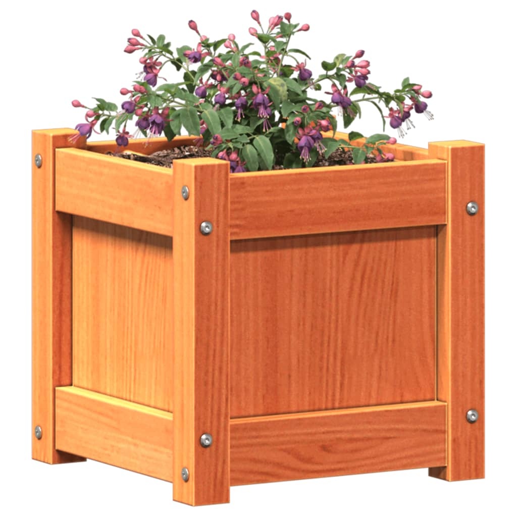 VidaXL Plantenbak 31x31x31 cm massief grenenhout wasbruin