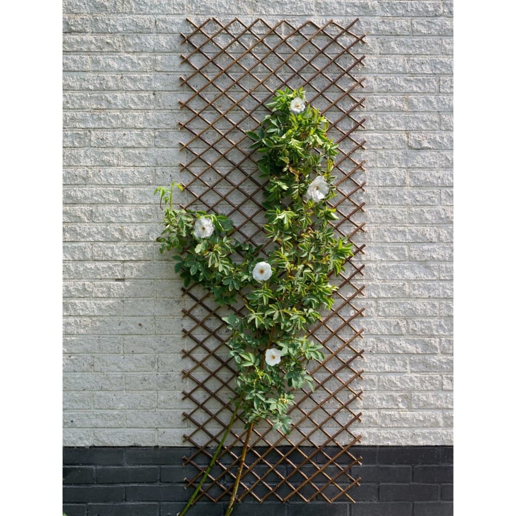 vidaXL Latwerk 60x180 cm natuurlijk wilgen bruin