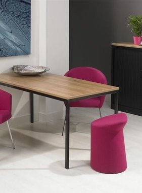 Kantinetafel of bureautafel