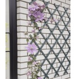 VidaXL Tuinlatwerk 50x150 cm PVC antracietkleurig