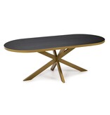 KantoormeubelenPlus Stalux Plat ovale eettafel 'Noud' 210 x 100, kleur goud / zwart eiken