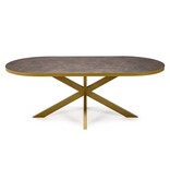 KantoormeubelenPlus Stalux Plat ovale eettafel 'Noud' 180 x 100, kleur goud / lederlook bruin