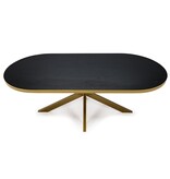 KantoormeubelenPlus Stalux Plat ovale eettafel 'Noud' 210 x 100, kleur goud / zwart eiken