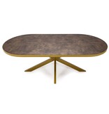 KantoormeubelenPlus Stalux Plat ovale eettafel 'Noud' 180 x 100, kleur goud / lederlook bruin