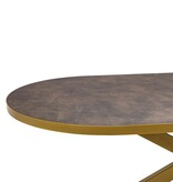 KantoormeubelenPlus Stalux Plat ovale eettafel 'Noud' 180 x 100, kleur goud / lederlook bruin