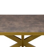 KantoormeubelenPlus Stalux Plat ovale eettafel 'Noud' 180 x 100, kleur goud / lederlook bruin