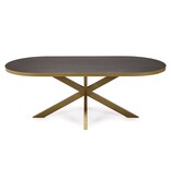 KantoormeubelenPlus Stalux Plat ovale eettafel 'Noud' 210 x 100, kleur goud / bruin hout