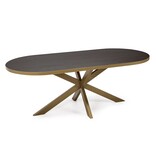 KantoormeubelenPlus Stalux Plat ovale eettafel 'Noud' 240 x 100, kleur goud / bruin hout